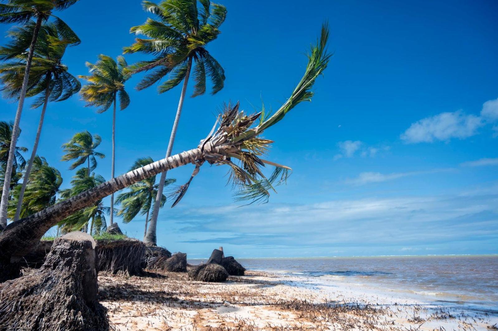 Bangalô Verde Recanto Uaná - 280m praia Tatuamunha Maceió Exterior foto